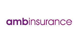 Amb Insurance Services