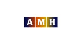 AMH Insurance Consultants