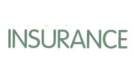 Your Insurance Group